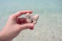  One day trip | I Love Koh Larn | หาดเทียน เกาะล้าน