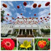 賞鬱金香🌺@Lake House😍