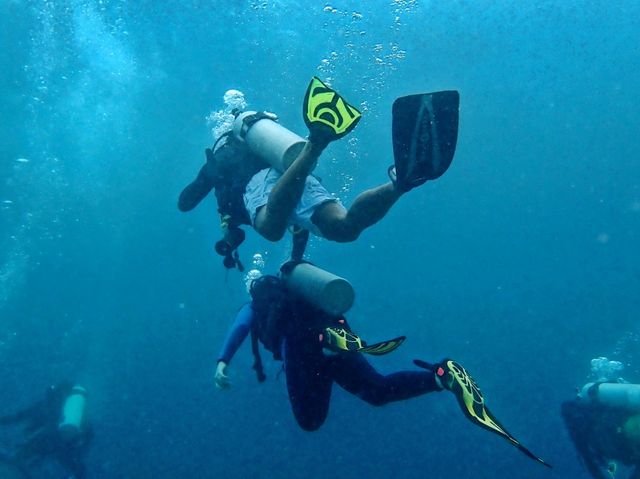 Apo Island, Dumaguete Philippines