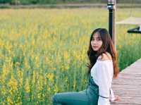 บ้านต้นจาน คาเฟ่ และ Farmstay ในหนองคาย