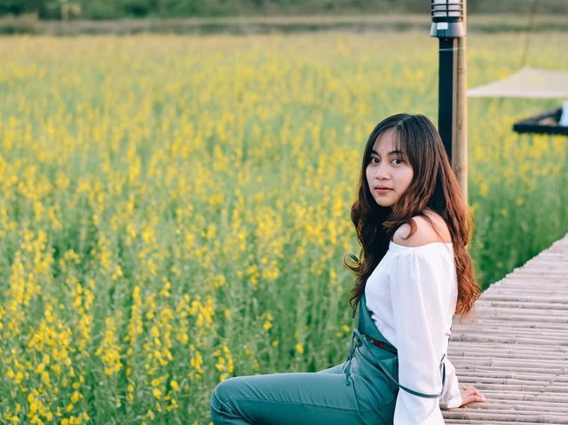 บ้านต้นจาน คาเฟ่ และ Farmstay ในหนองคาย