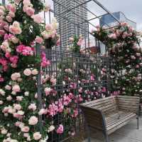 Nakanoshima Rose Garden