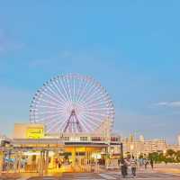 Osaka | Aquarium Kaiyukan