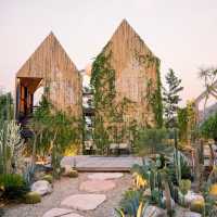 Chan nature cafe’