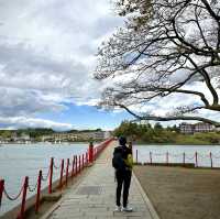 One of most three beautiful bay in 🇯🇵!! 