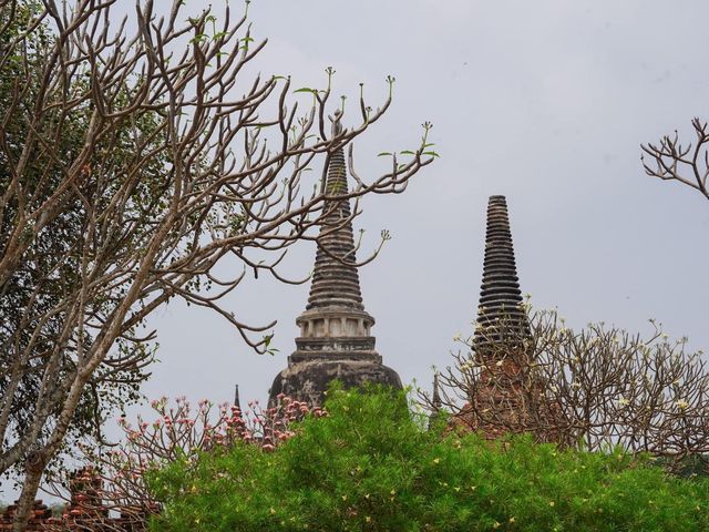 วัดพระศรีสรรเพชญ์ อุทยานประวัติศาสตร์อยุธยา