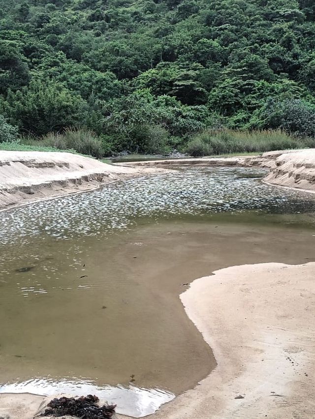 假日坐車又坐船又行山又游水特別興奮