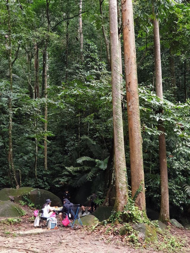 Forest Research Institute Malaysia KL🌲🍃