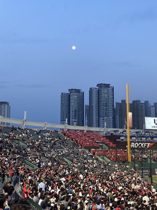 부산 열기 가득한 이색데이트 추천