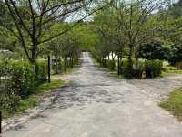 Baan Suan Ngam บ้านสวนงาม สระบุรี