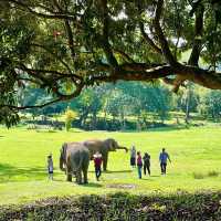 Kanta Elephant Sanctuary