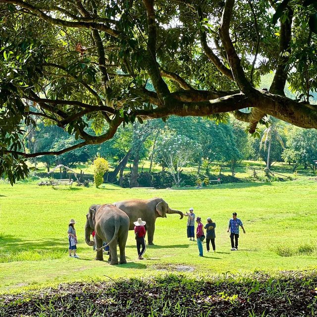 Kanta Elephant Sanctuary