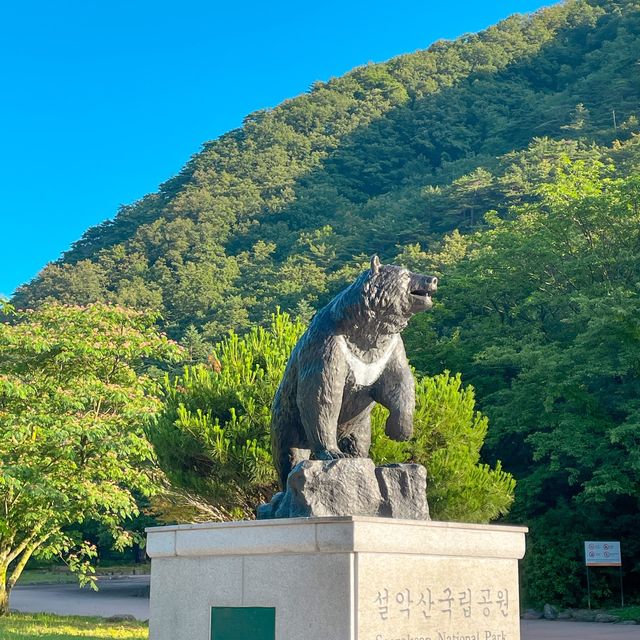 설악산도 가고 먹방도 찍으러 속초여행