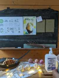 【北海道初製法のアイス】好きなフルーツをトッピング出来るアイス屋さん