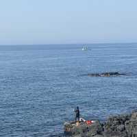 동해의 수평선을  맘껏 구경할 수 있는 🌊 제주 어영공원
