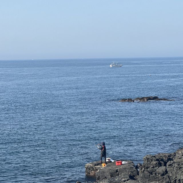 동해의 수평선을  맘껏 구경할 수 있는 🌊 제주 어영공원
