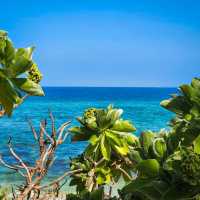 Ly Son Island