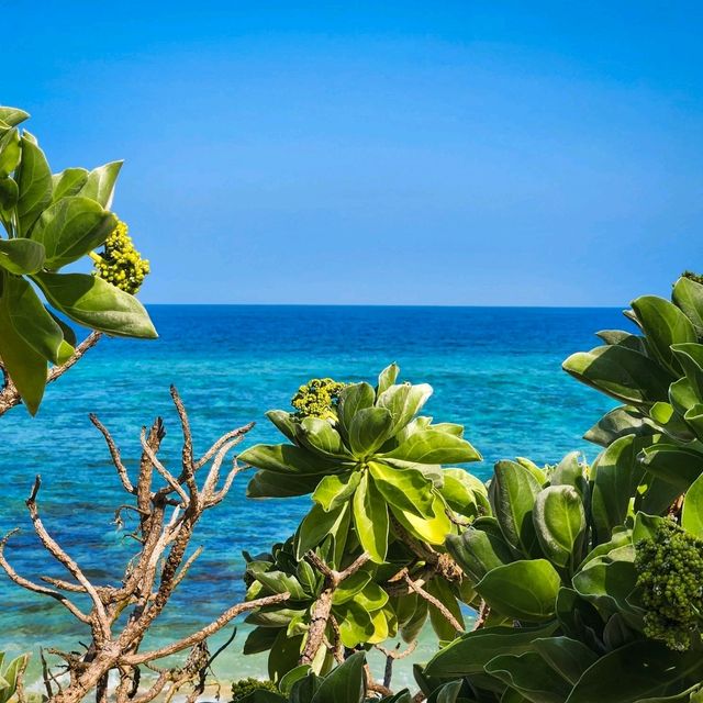 Ly Son Island