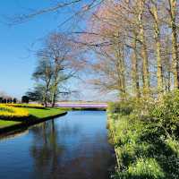 荷蘭🇳🇱盧瑟Lisse•風車景觀區🎡🛶Keukenhof Garden庫肯霍夫花園 