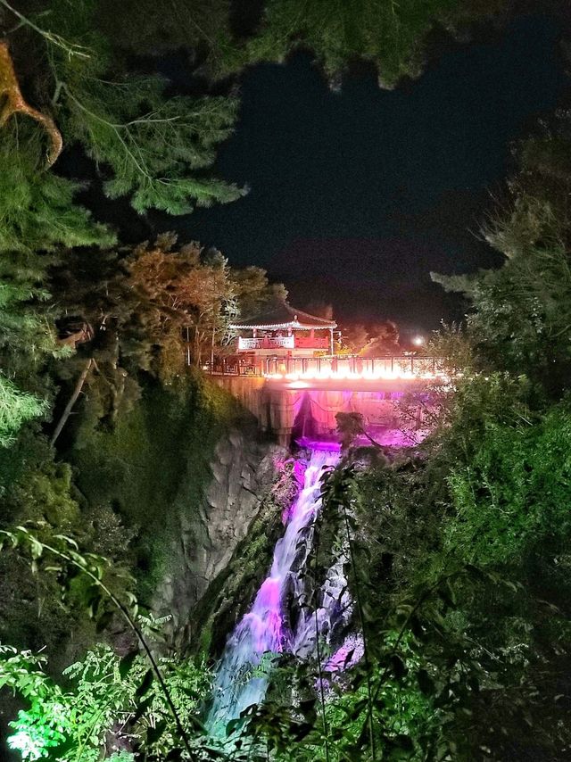 밤에 보면 더 화려한 의림지 야경✨️