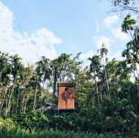 บ้านต้นไม้กลางป่าริมลำธาร บ้านในหมง treehouse 