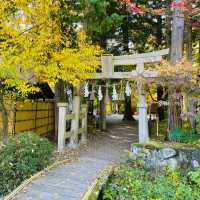 【長野県/紅葉が美しい🍁”出早雄小萩神社”と”出早公園”】