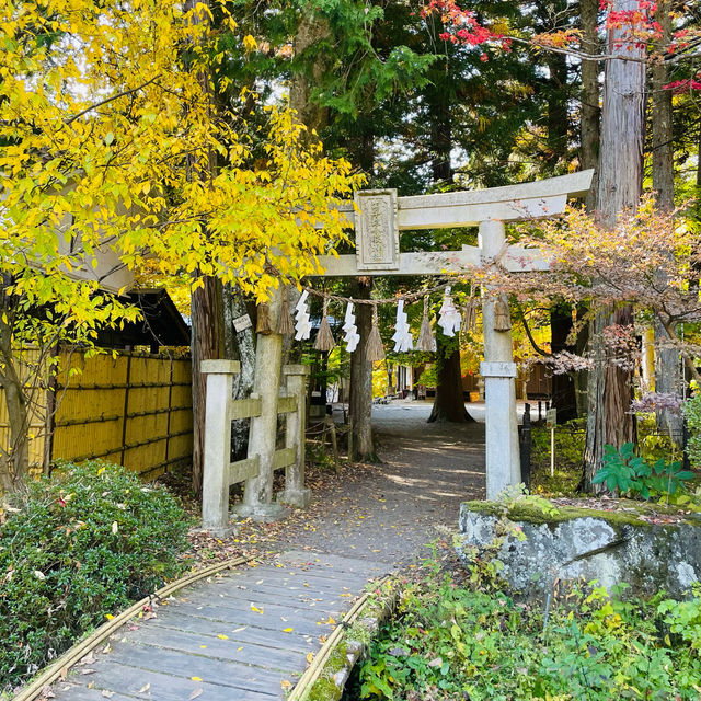 【長野県/紅葉が美しい🍁”出早雄小萩神社”と”出早公園”】