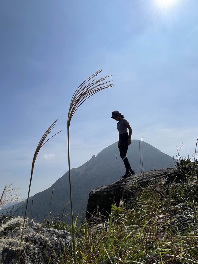 彌勒山🌿昂坪棧道｜秋天行山打卡推介📸