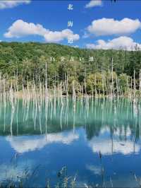 【美瑛】アイスブルーの美しい&不思議な池🫣💎💙🪞【北海道】