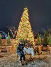 블링블링 트리분수가 너무 예쁜 메리클리프🎄