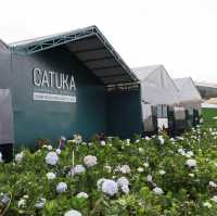   🪻Garden Hydrangeas Dalat ไม่มาถือว่าพลาดมาก