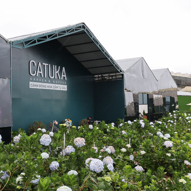   🪻Garden Hydrangeas Dalat ไม่มาถือว่าพลาดมาก