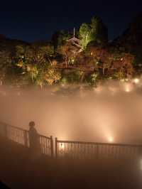 【日本でオーロラが見れる！？✨】椿山荘ではオーロラと雲海が同時に見れる！😳