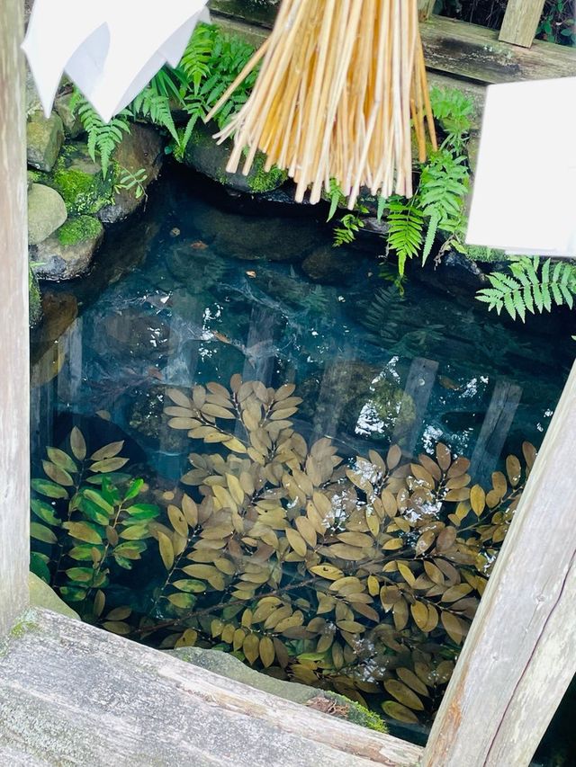 【島根県/須佐神社】2023年行ってよかった！島根県の神社⑨