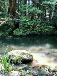 【長野大町】仁科神明宮