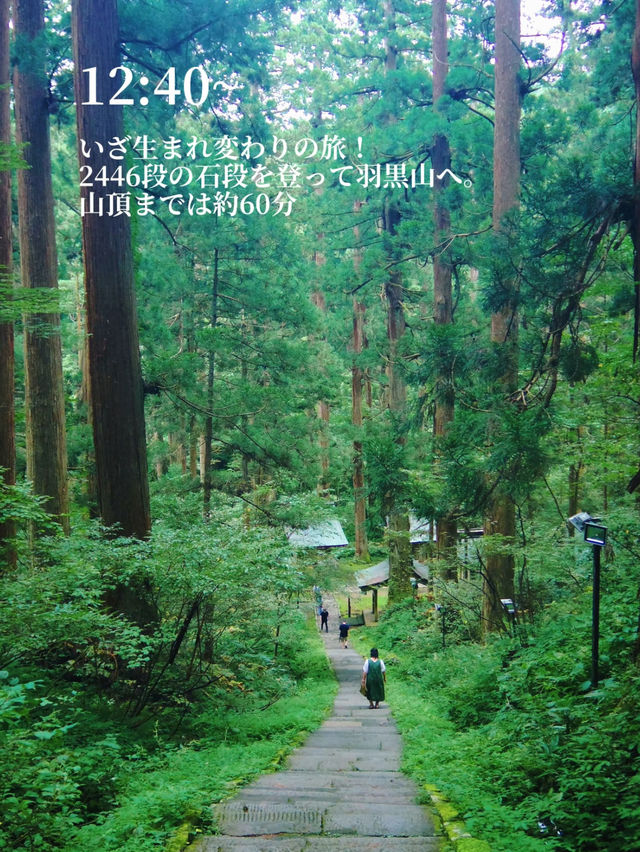【保存版】一人旅におすすめ！絶景と温泉に癒される庄内リトリート旅プラン✈️