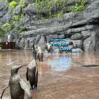 Asia Largest Birdpark - TIPS shared!