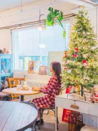 🎄딸기가 맛있는 크리스마스 분위기 부산카페 [부산, 노키]🍓