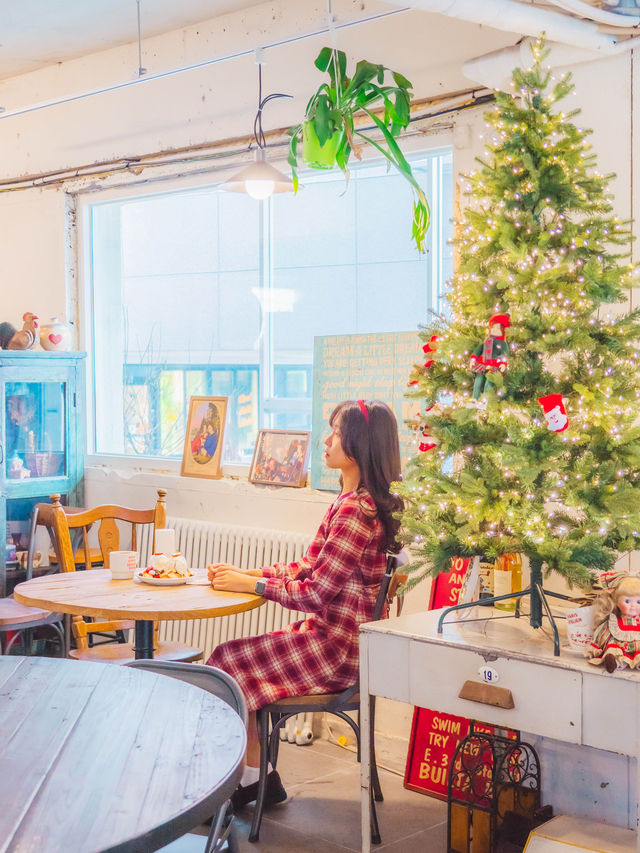 🎄딸기가 맛있는 크리스마스 분위기 부산카페 [부산, 노키]🍓
