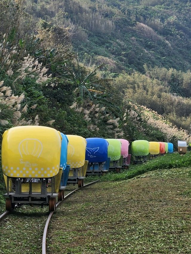 ไต้หวันครบทุกฤดูในทริปเดียว #Taiwan ไต้หวันครบทุกฤดูในทริปเดียว #Taiwan