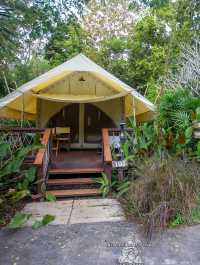 นอนเต๊นท์สุดหรู แช่บ่อน้ำธรรมชาติ @Hintok River Camp