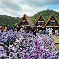 Beautiful day in Hokkaido Flower Park Khaoyai