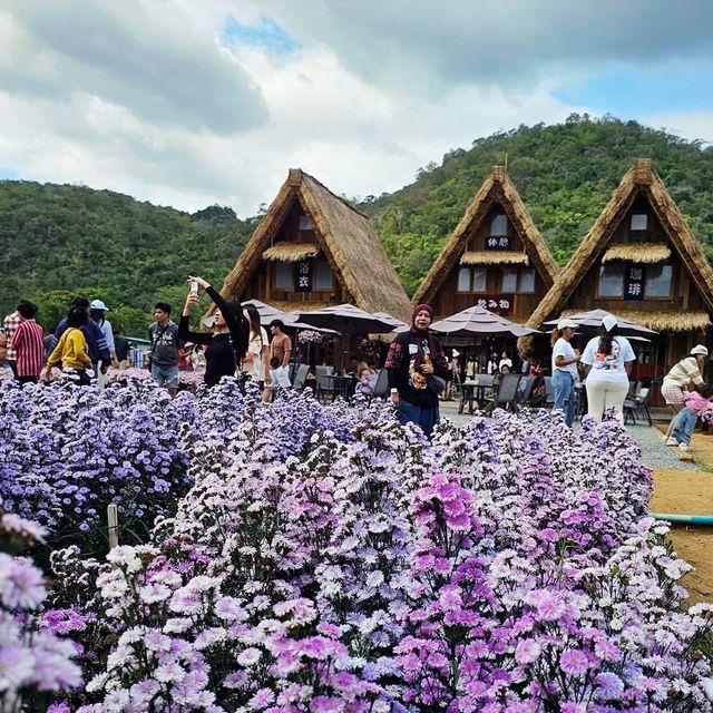 Beautiful day in Hokkaido Flower Park Khaoyai