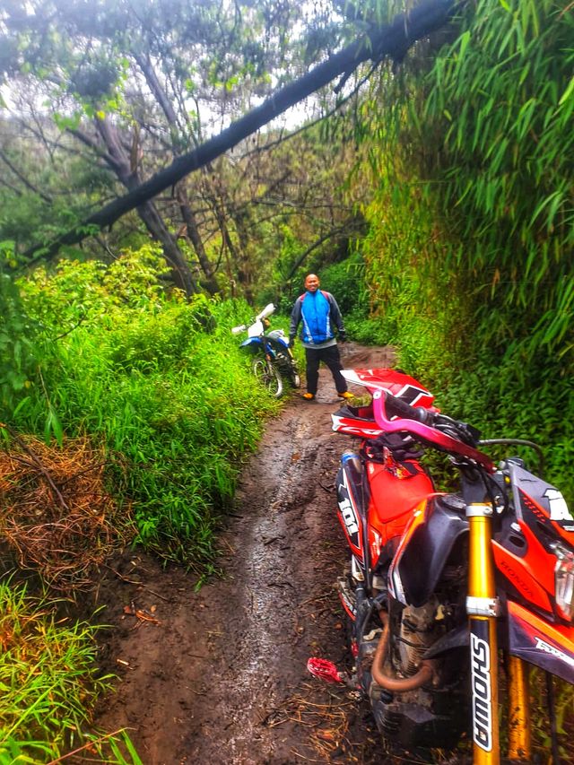 One day Guided Motor Trail To Bromo from Malang