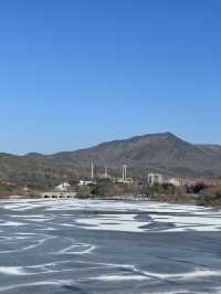 首爾出發首爾大公園一日遊❣️親子活動必到🤓市區親親大自然