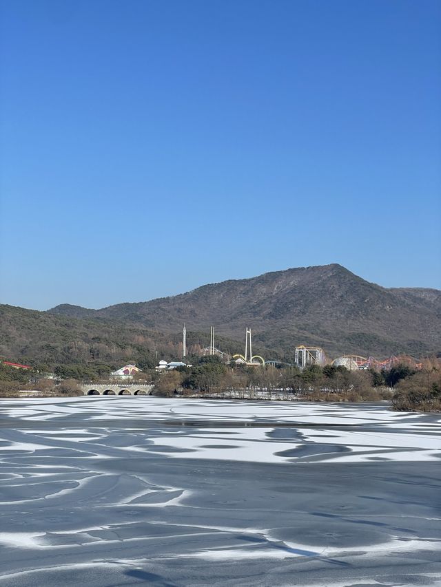 首爾出發首爾大公園一日遊❣️親子活動必到🤓市區親親大自然