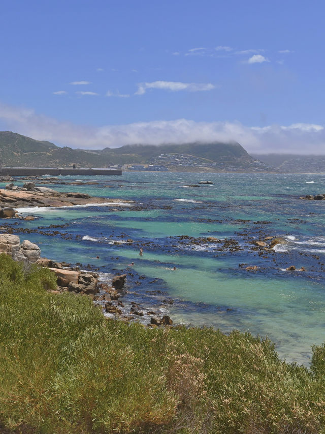 Boulders Beach : Simon's Town หาดแพนกวิ้น