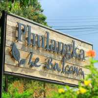Phulangka Le Balcony (ภูลังกา เลอ บัลโคนี)  ⛰️⛅️☕️