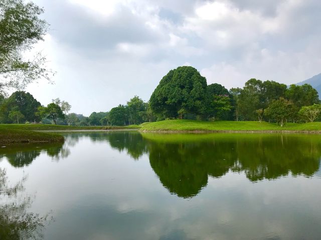 Seeking leisure and relaxation on weekends.