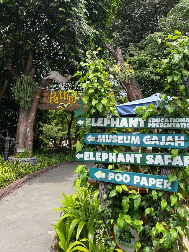 峇里親子遊❤️最大動物園😳Bali Safari and Marine Park🙈